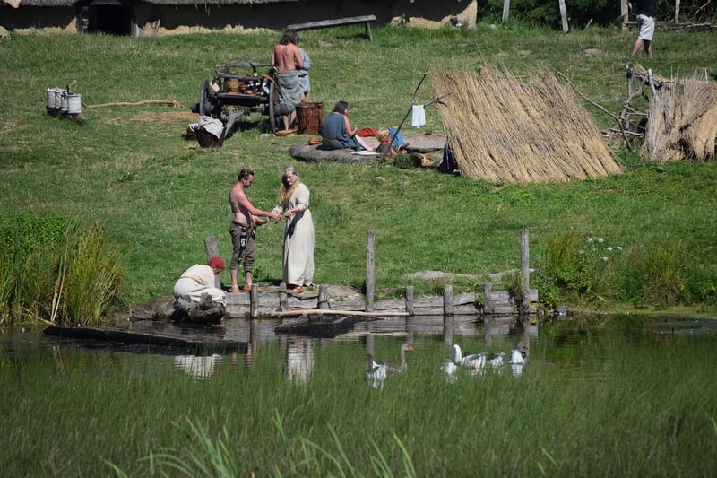 Viking Realms